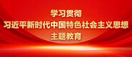 操逼查瑞网站学习贯彻习近平新时代中国特色社会主义思想主题教育_fororder_ad-371X160(2)